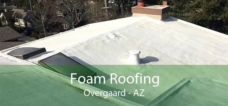 Foam Roofing Overgaard - AZ