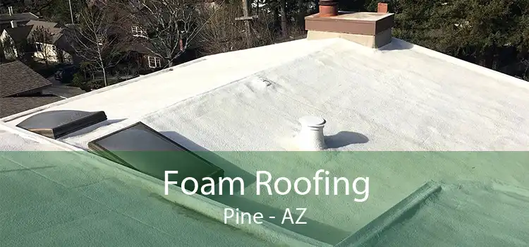 Foam Roofing Pine - AZ
