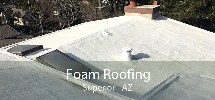 Foam Roofing Superior - AZ