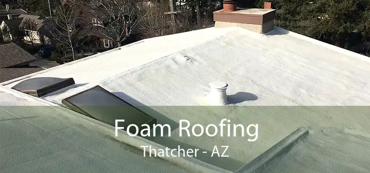 Foam Roofing Thatcher - AZ
