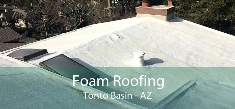 Foam Roofing Tonto Basin - AZ