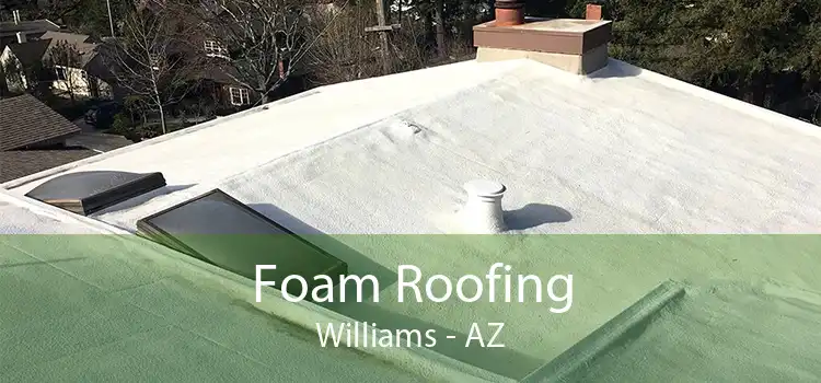 Foam Roofing Williams - AZ