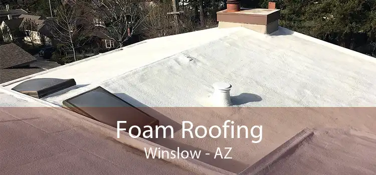 Foam Roofing Winslow - AZ