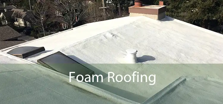 Foam Roofing 