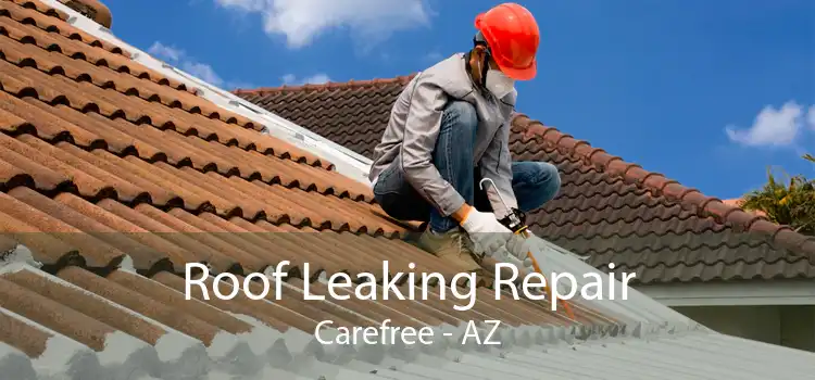 Roof Leaking Repair Carefree - AZ