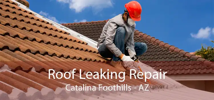 Roof Leaking Repair Catalina Foothills - AZ