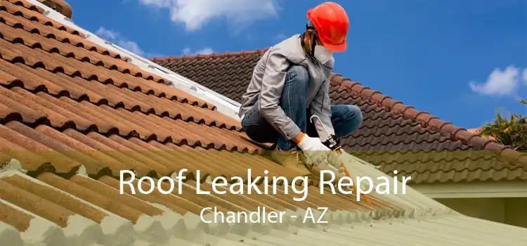 Roof Leaking Repair Chandler - AZ