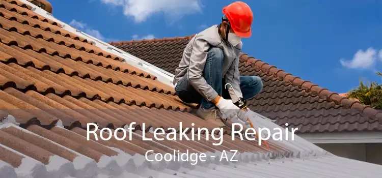 Roof Leaking Repair Coolidge - AZ