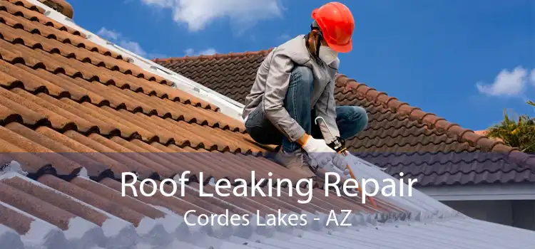 Roof Leaking Repair Cordes Lakes - AZ