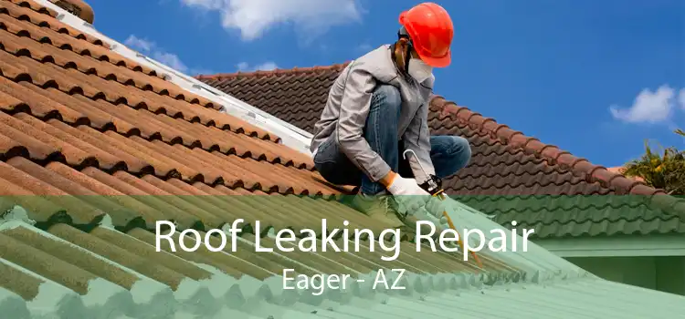 Roof Leaking Repair Eager - AZ