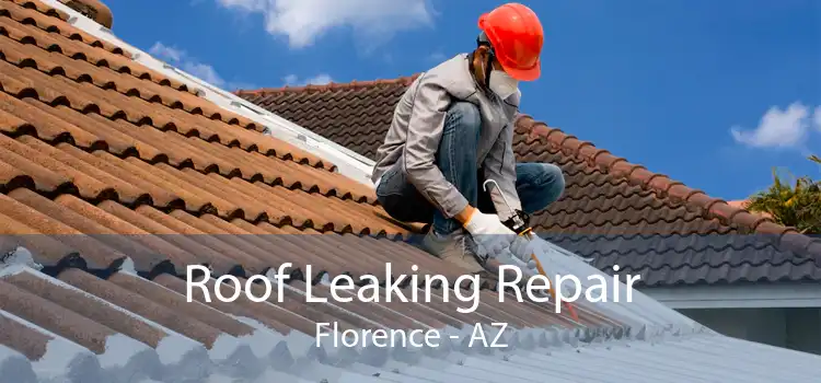 Roof Leaking Repair Florence - AZ