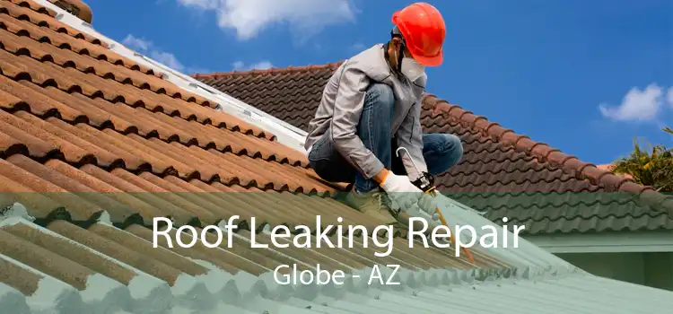 Roof Leaking Repair Globe - AZ