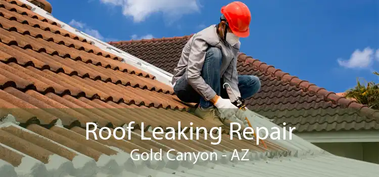 Roof Leaking Repair Gold Canyon - AZ