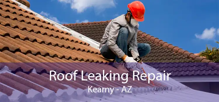 Roof Leaking Repair Kearny - AZ