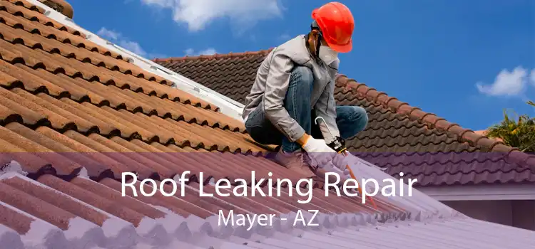 Roof Leaking Repair Mayer - AZ