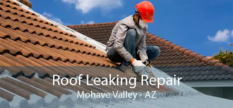Roof Leaking Repair Mohave Valley - AZ