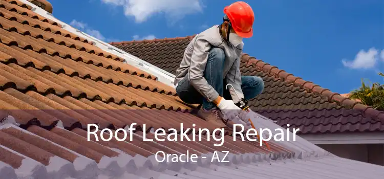 Roof Leaking Repair Oracle - AZ