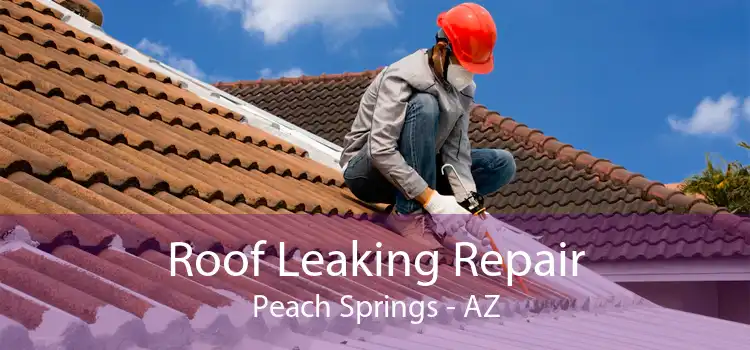 Roof Leaking Repair Peach Springs - AZ