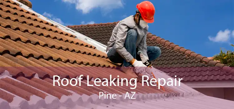 Roof Leaking Repair Pine - AZ