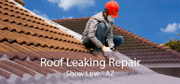 Roof Leaking Repair Show Low - AZ
