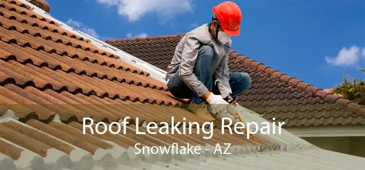 Roof Leaking Repair Snowflake - AZ