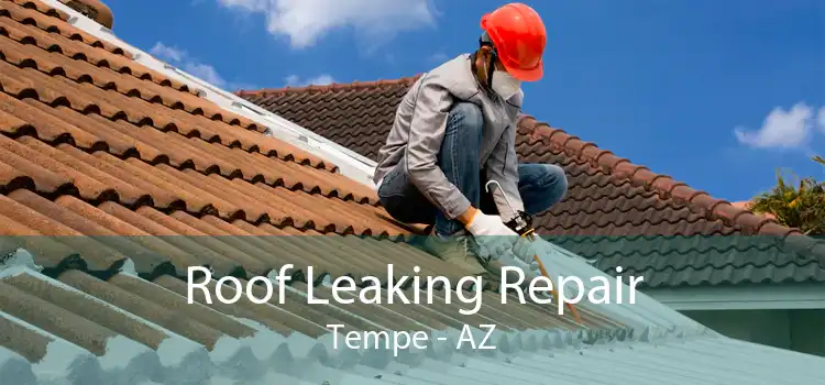 Roof Leaking Repair Tempe - AZ