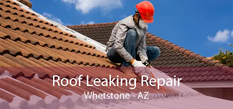 Roof Leaking Repair Whetstone - AZ