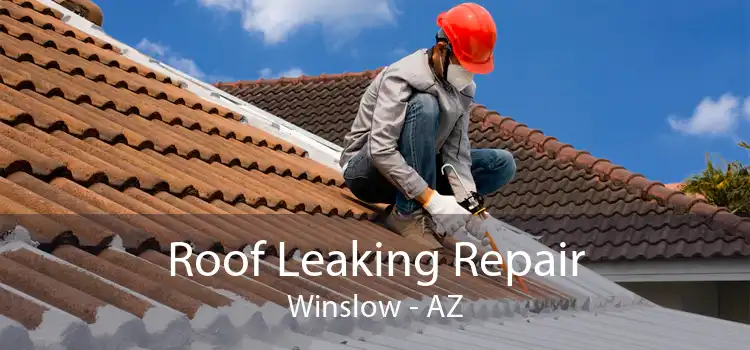 Roof Leaking Repair Winslow - AZ
