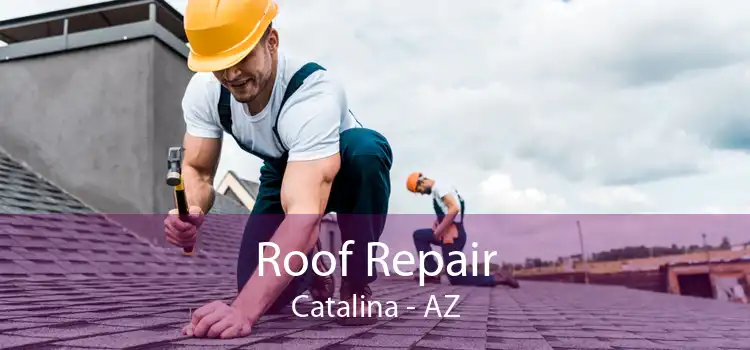 Roof Repair Catalina - AZ