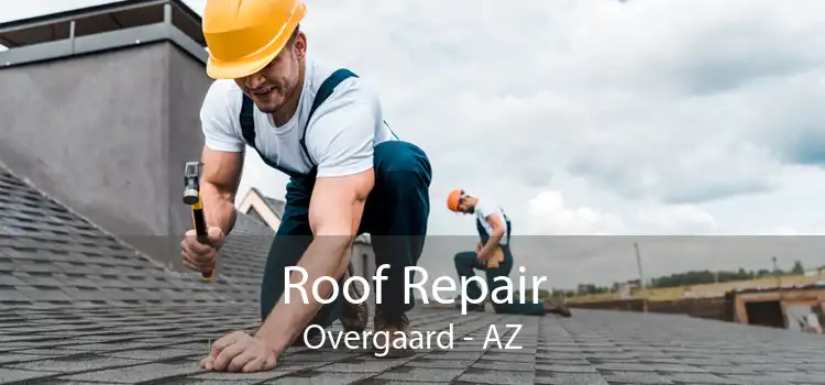 Roof Repair Overgaard - AZ