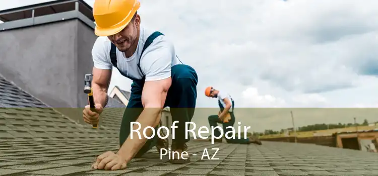 Roof Repair Pine - AZ