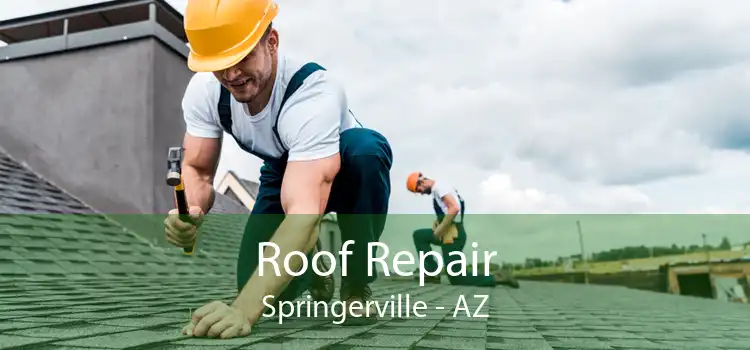 Roof Repair Springerville - AZ