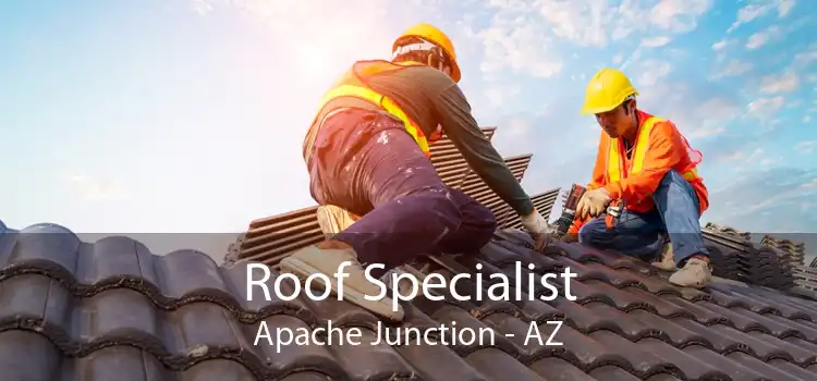 Roof Specialist Apache Junction - AZ