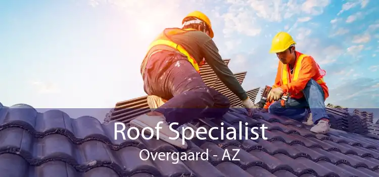 Roof Specialist Overgaard - AZ