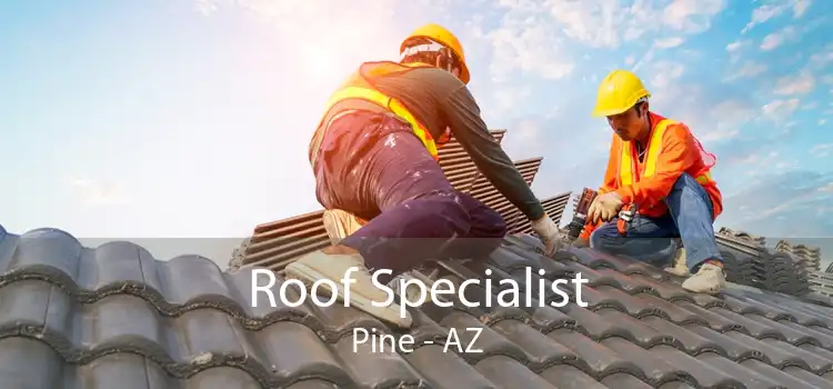 Roof Specialist Pine - AZ