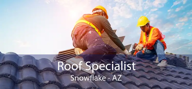 Roof Specialist Snowflake - AZ