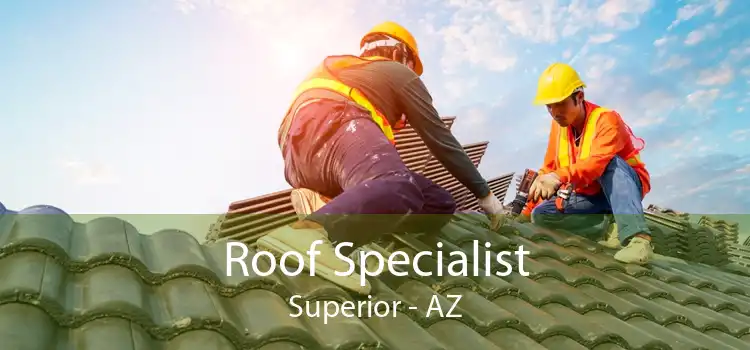 Roof Specialist Superior - AZ