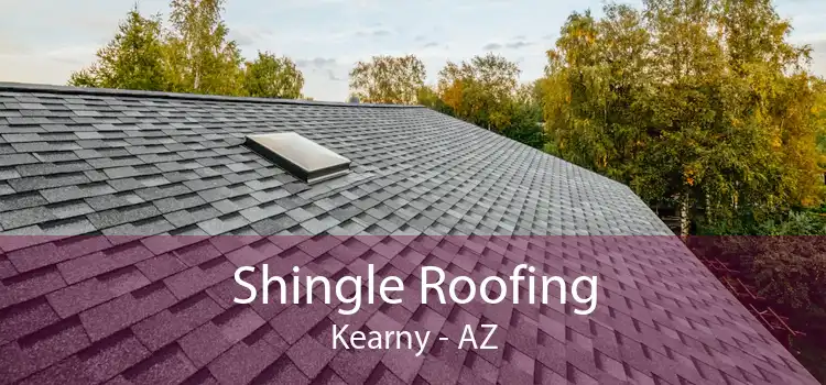 Shingle Roofing Kearny - AZ