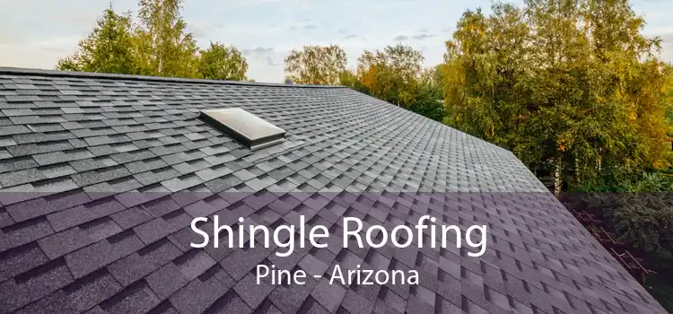 Shingle Roofing Pine - Arizona