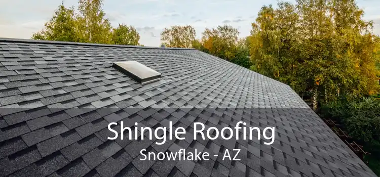 Shingle Roofing Snowflake - AZ