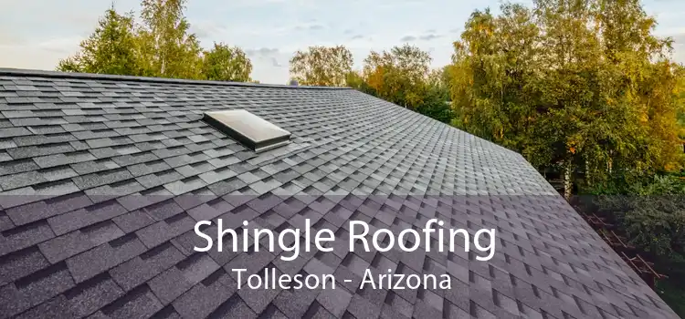 Shingle Roofing Tolleson - Arizona