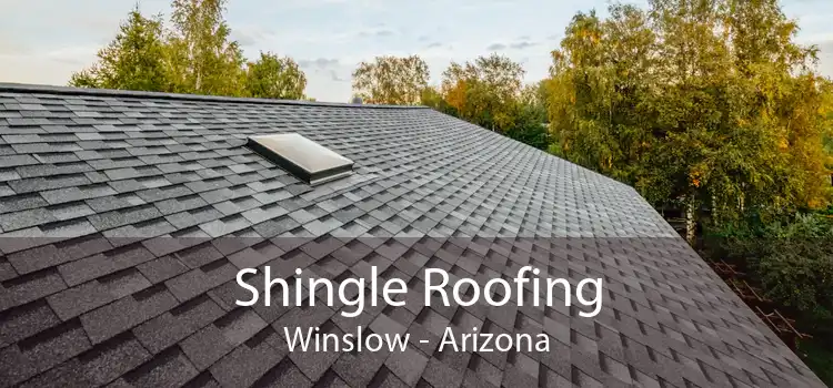 Shingle Roofing Winslow - Arizona
