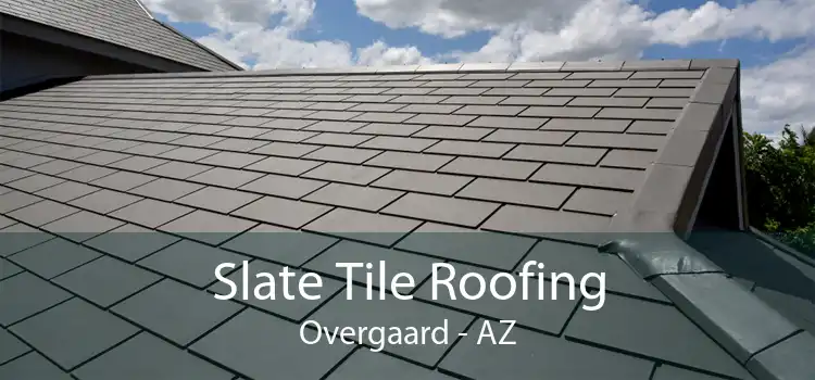 Slate Tile Roofing Overgaard - AZ
