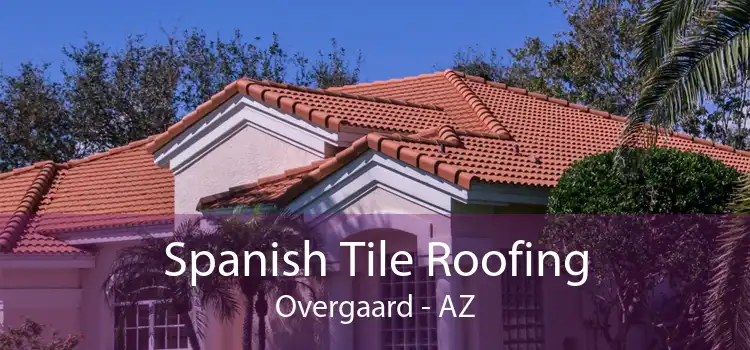 Spanish Tile Roofing Overgaard - AZ