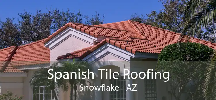 Spanish Tile Roofing Snowflake - AZ