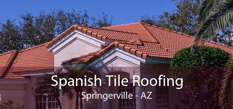 Spanish Tile Roofing Springerville - AZ