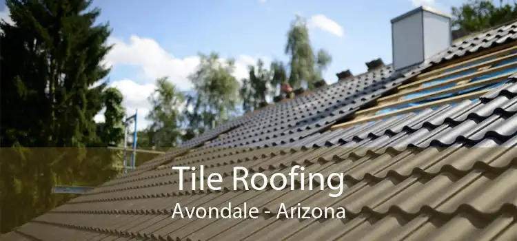 Tile Roofing Avondale - Arizona
