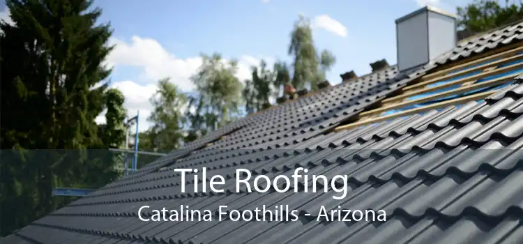 Tile Roofing Catalina Foothills - Arizona