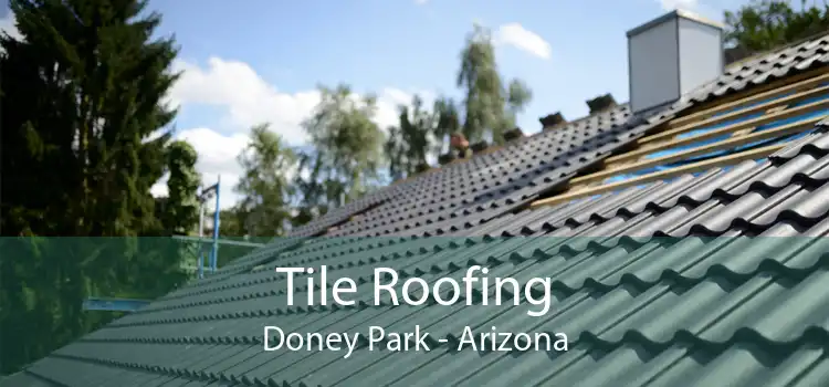 Tile Roofing Doney Park - Arizona