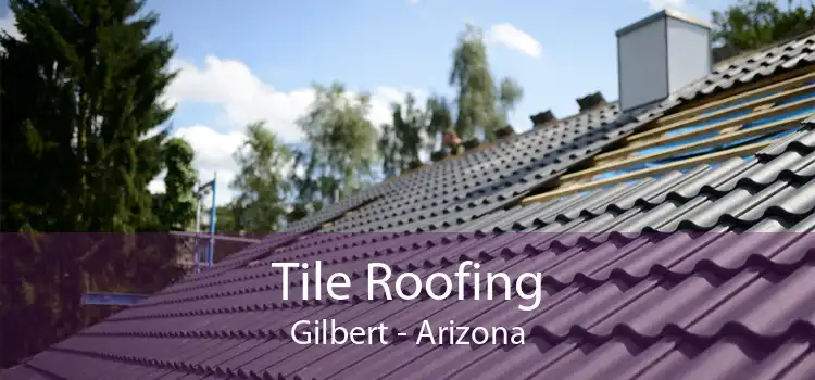 Tile Roofing Gilbert - Arizona